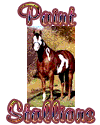 Paint Stallions Webring
