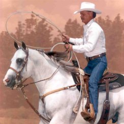 Romans Royal Te - Click here to view this  Grey Quarter Horse Stallion.