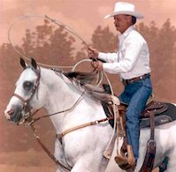 Romans Royal Te - Click here to view this  Grey Quarter Horse Stallion.